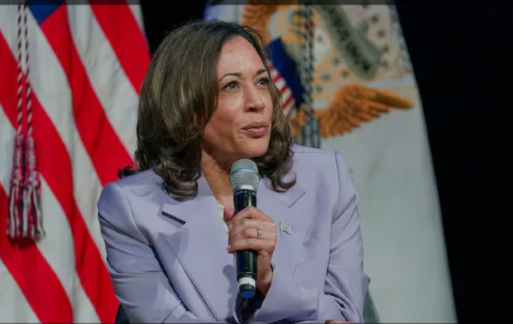 Kamala Harris’ Presidential Campaign Surges with Record Fundraising and Growing Momentum